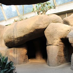 IMG_1069 Entree- Exit Burgers Desert