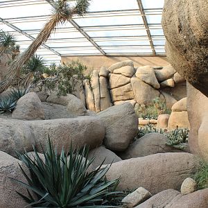 View Into The Desert