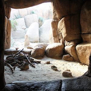 Enclosure Crotalus Ruber