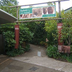 View of new entrance signage to Elephant House
