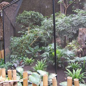 View of redesigned Hornbill aviary in Elephant House