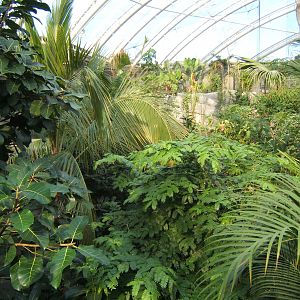 View across Monsoon Forest