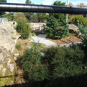 View of work on the old Condor aviary