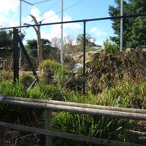 View of work on the old Condor aviary