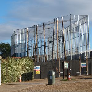 View of the new outdoor Chimp exhibit