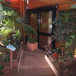 View inside the Butterfly House