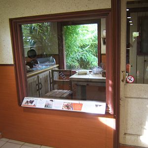 View of Domestic Rat exhibit in animal encounter room