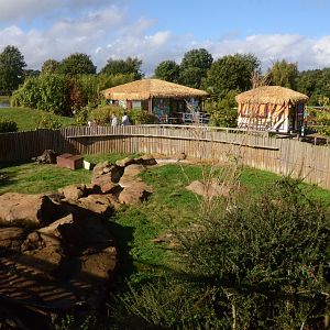 Asian Short-clawed Otter Enclosure at Woburn Safari Park, 16/10/16