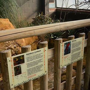 Lory and Lorikeet Signage at Woburn Safari Park, 16/10/16