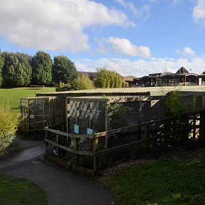 Macaw and Cockatoo Aviaries at Woburn Safari Park, 16/10/16