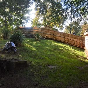 Giant Tortoise Enclosure at Woburn Safari Park, 16/10/16