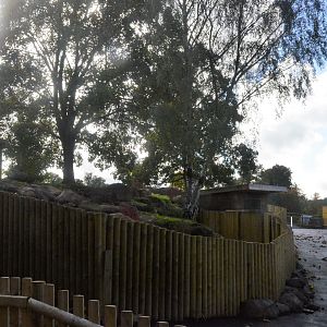 Bush Dog Enclosure (still unfinished) at Woburn Safari Park, 16/10/16