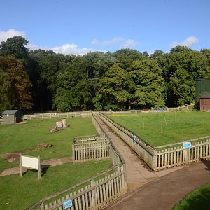Farm Paddocks and Former River Hog Paddock at Woburn Safari Park, 16/10/16