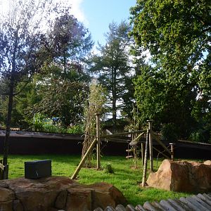 'Marmotopia' - Common Marmoset Exhibit at Woburn Safari Park, 16/10/16