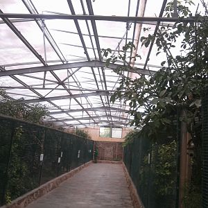 One tropical bird aviary