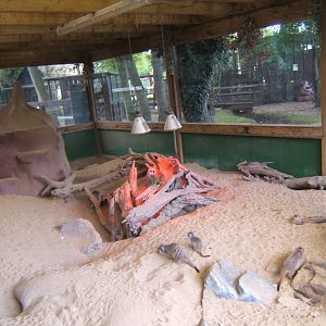 View inside the Meerkat House