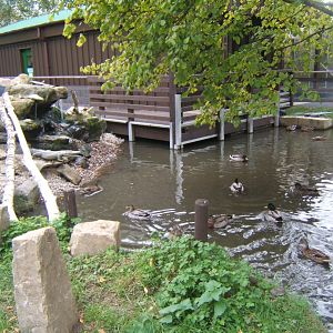 View of Reptile House extension