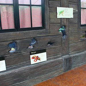 Mississippi River terrariums