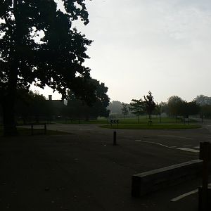 View - 15 October 2016