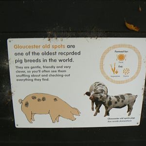 Example of Signage in Hullabazoo - 15 October 2016