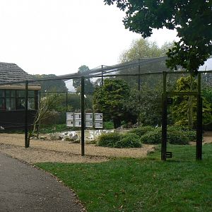 View of Aviary - 15 October 2016