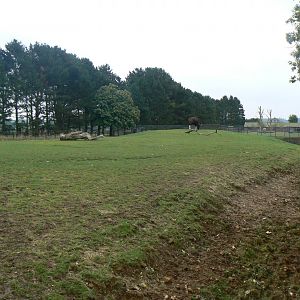 View of Gaur Paddock - 15 October 2016