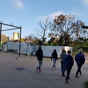 Building-site new Elephant-enclosure