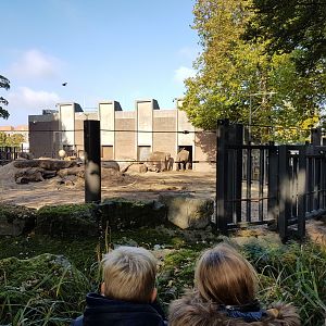 Current Elephant Enclosure