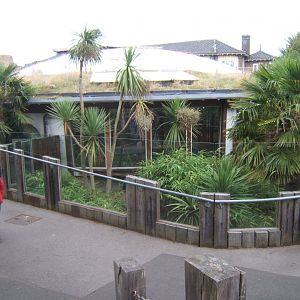 View of outdoor Komodo enclosure