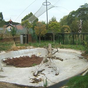 View of Sumatran Tiger enclosure