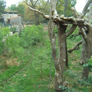 View of Sumatran Tiger enclosure