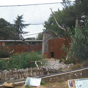 View of Vulture and Peafowl Aviary