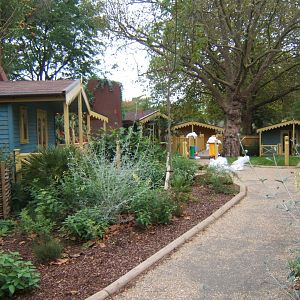 View of Land of Lions lodges