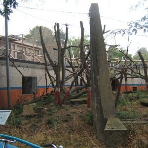 View of Langur enclosure