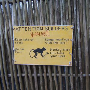 View of Land of Lions