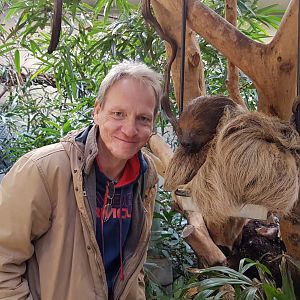 Vogelcommando and sloth - Artis Royal Zoo