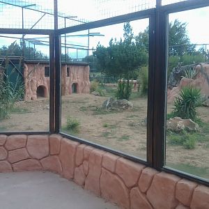 Sumatran tiger enclosure