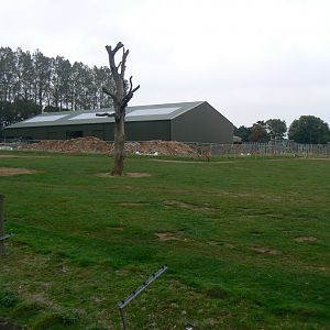 View of Part of the Asian Elephant Enclosure - 15 October 2016