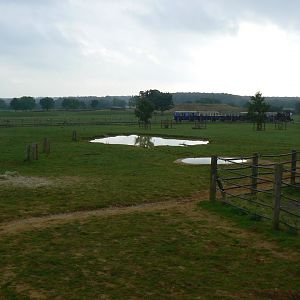 View of Indian Rhinoceros Paddocks and Asia Drivethrough - 15 October 2016