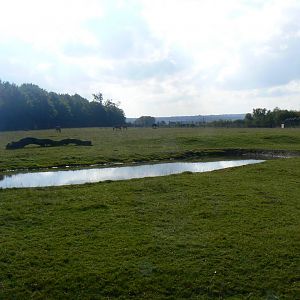 View of the Nilgai Paddock - 15 October 2016
