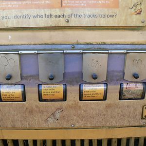 Interpretation in Cheetah Rock - 15 October 2016