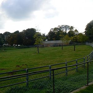 View of the Gemsbok Paddock - 15 October 2016