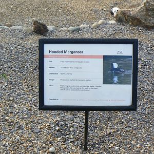 Example of Signage - 15 October 2016