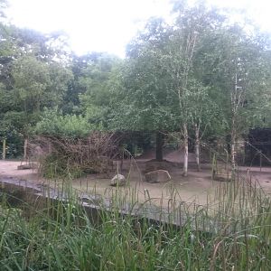 Ostrich-Marabou and Crane enclosure