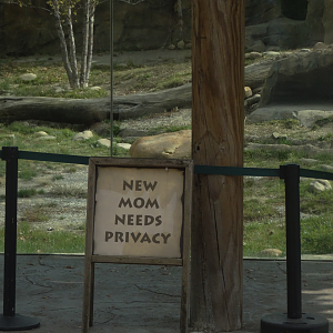 Oct. 2016 - Africa - New Mom Needs Privacy