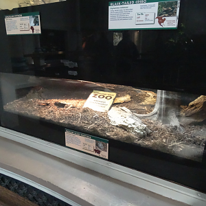 Oct. 2016 - Reptile House - Future Indian Star Tortoise Exhibit