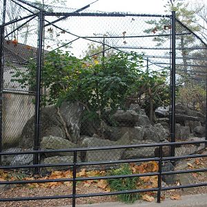 Cougar's Exhibit
