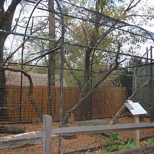 Oudoor Black Howlers' Exhibit