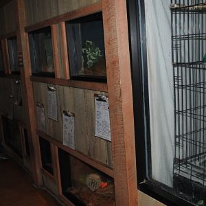 Terrariums (The Bayou Pavilion)