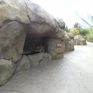Oct. 2016 - Africa - Right Side of Meerkat Exhibit